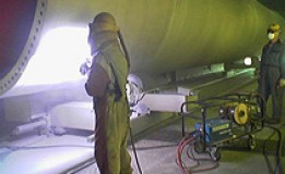 سیستمی, پوشش