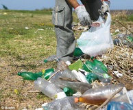 فاجعه, نام, پلیک
