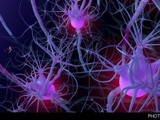 تولید, نانو, کانالی, ترمیم, اعصاب, کشور