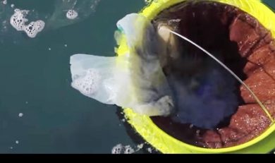 طراحی, سطل, پلیکی, شناور, جمع‌آوری, زباله‌های, اقیانوس