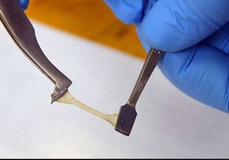 ساخت, اولین, پلیمرزیستی, کاملا, قابل, بازیافت, جهان